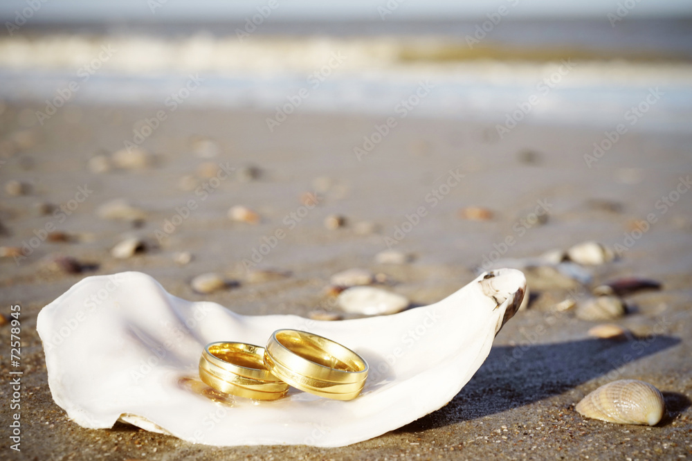 Zwei Goldringen auf einer Muschelschale im Sand